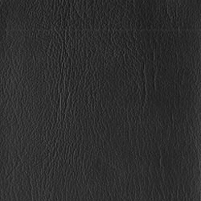 Novel CORINTHIAN BLACK