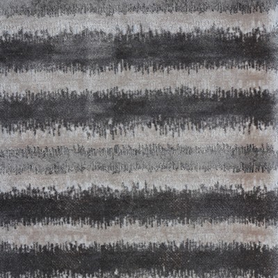 Novel PANSY PLATINUM