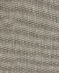 Novel Todd Bisque Fabric