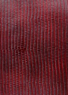 Novel Linyou Deep Reed