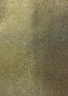 Novel Bellaire Margarita