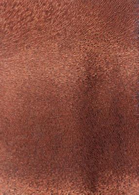 Novel Bellaire Auburn