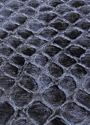 Novel Valkenburg Navy