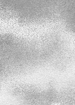 Novel Bellaire Pewter