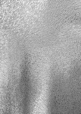 Novel Bellaire Illusion