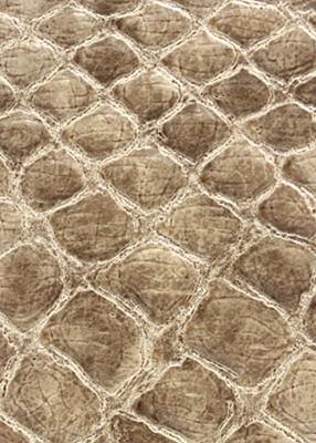 Novel Valkenburg Stone