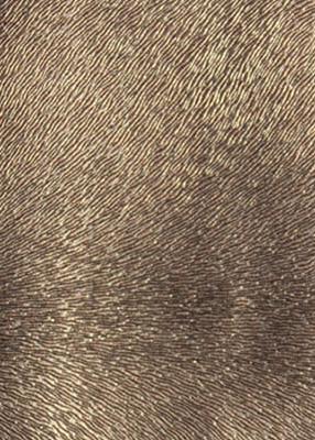 Novel Bellaire Mocha