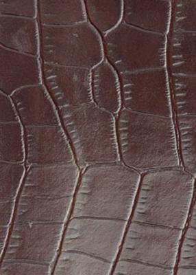 Novel Tiller Truffle