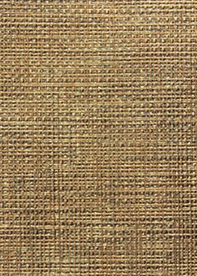 Novel Miguel Ethiopia