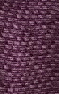 Novel Wilder Blackberry