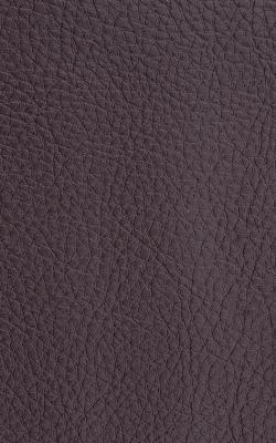 Novel Walter Burgundy