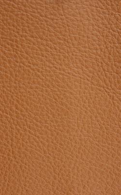 Novel Walter Saffron