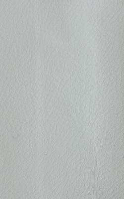 Novel Wang Avalanche