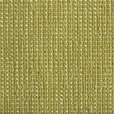 Novel Delaney Cactus