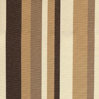 Novel Spotlight Java