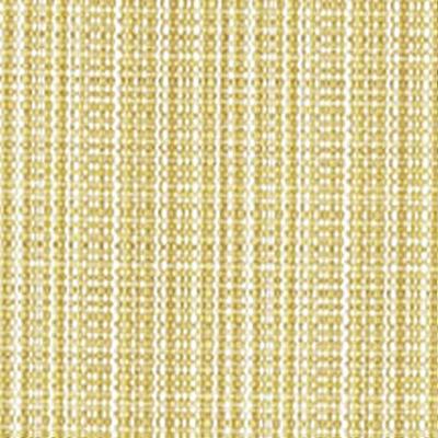 Novel Cozumel Pineapple