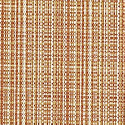 Novel Cozumel Ginger