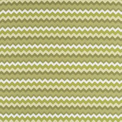 Novel Johnsbury Parakeet