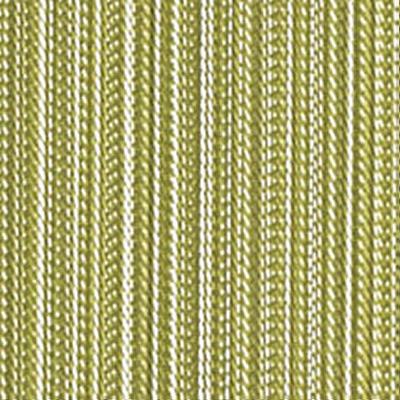 Novel Agusta Parakeet