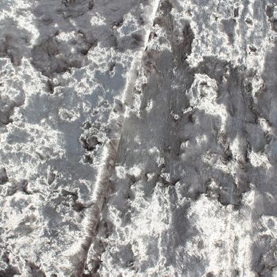 Novel Crushed Velvet Argent
