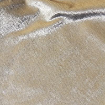 Novel Sunnyvale Snow