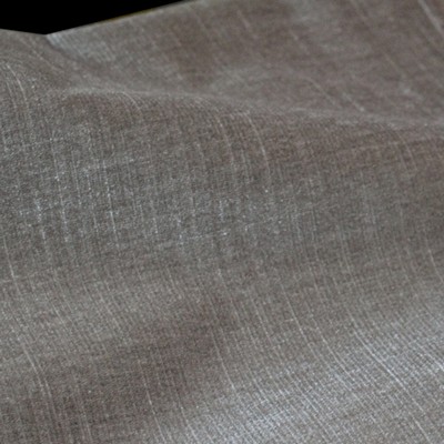 Novel OCEANSIDE SEASHELL