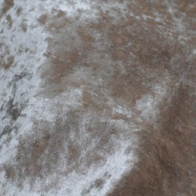 Novel Littleton Latte