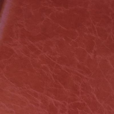 Novel Armstrong Sienna