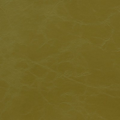 Novel ARMSTRONG KIWI