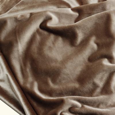 Novel Ithaca Mushroom