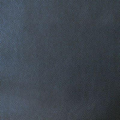 Novel RODRIGO SEAMIST