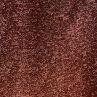 Novel RODRIGO COPPER