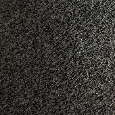 Novel RODRIGO BLACK PEAR