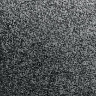 Novel RODRIGO SILVER