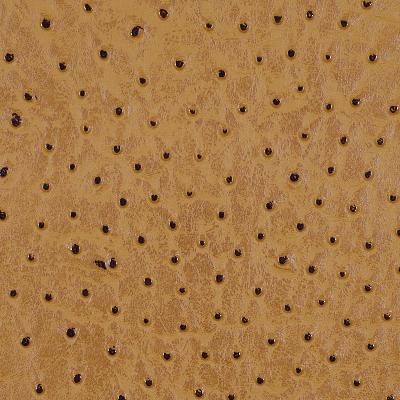 Robert Allen WILEY CARAMEL