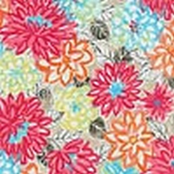 P K Lifestyles PKL OD Matisse Dance Watermelon