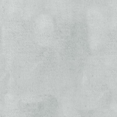 P K Lifestyles Furocious Husky