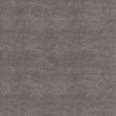 P K Lifestyles Velluto Fossil