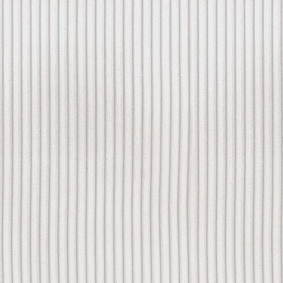 P K Lifestyles Corduroy Fur Cream