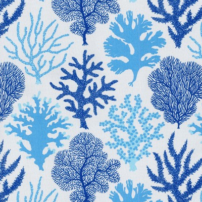 P K Lifestyles OD Coral Study Tide