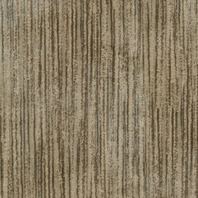 P K Lifestyles Velvety Strie Fossil