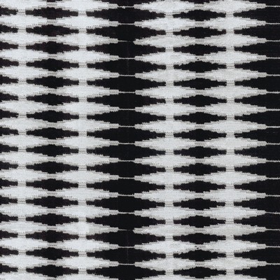 P K Lifestyles Magnifique Domino