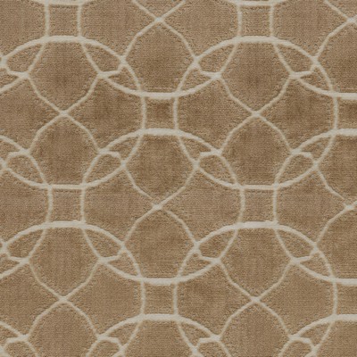 P K Lifestyles Lavish Amber