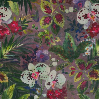 P K Lifestyles Natural Delicacy Evening Shade