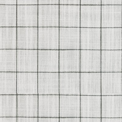 P K Lifestyles Concord Pane Domino