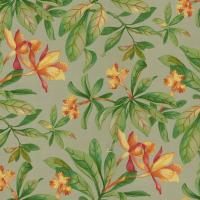 P K Lifestyles OD Orchid Valley Putty