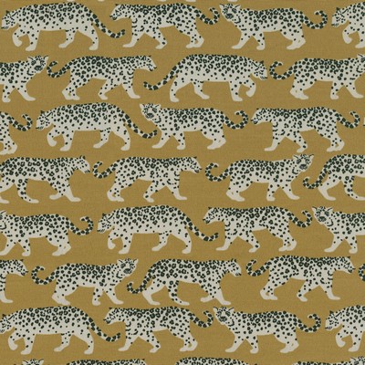 P K Lifestyles OD Tiger Walk Gold