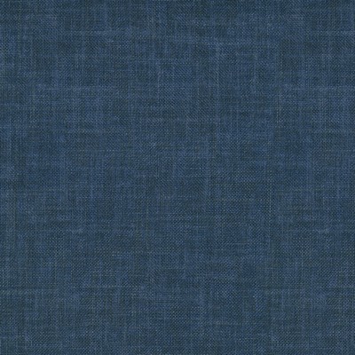 P K Lifestyles Desmond Solid Denim