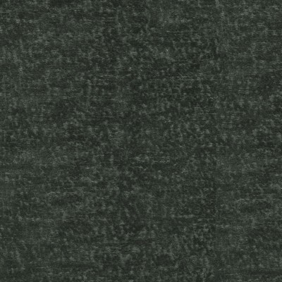 P K Lifestyles Teddy Char