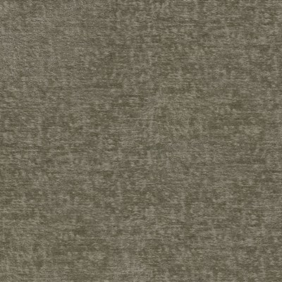 P K Lifestyles Teddy Fossil